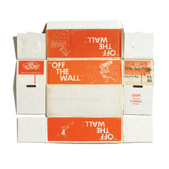 #FLYOFFTHEWALL commemorative box print ¬ vans off the wall (youth)